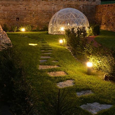 Chateau De Balleure Etrigny Dış mekan fotoğraf
