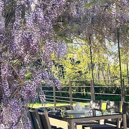 Chateau De Balleure Etrigny Dış mekan fotoğraf