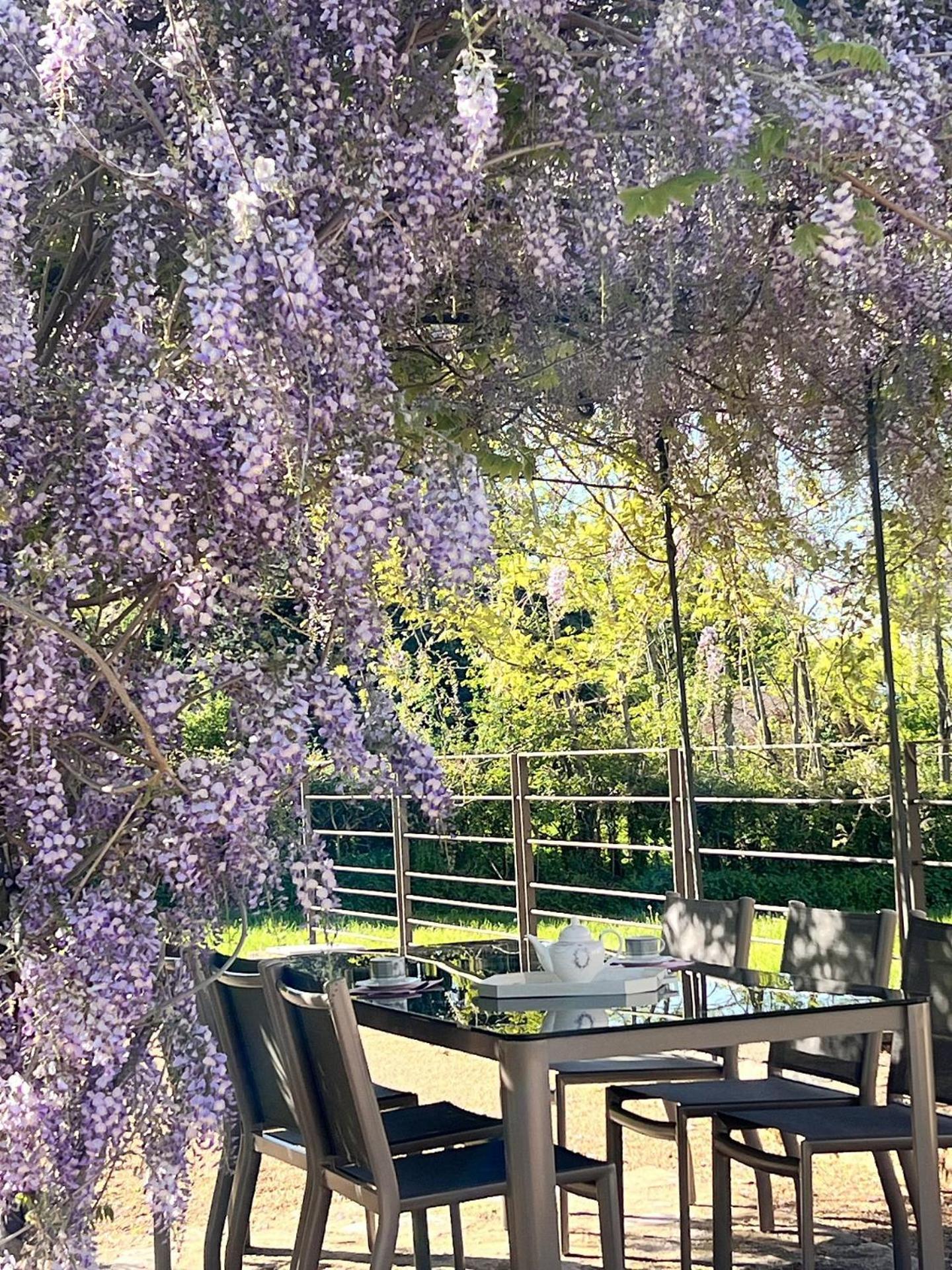 Chateau De Balleure Etrigny Dış mekan fotoğraf