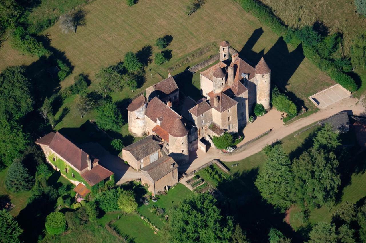 Chateau De Balleure Etrigny Dış mekan fotoğraf