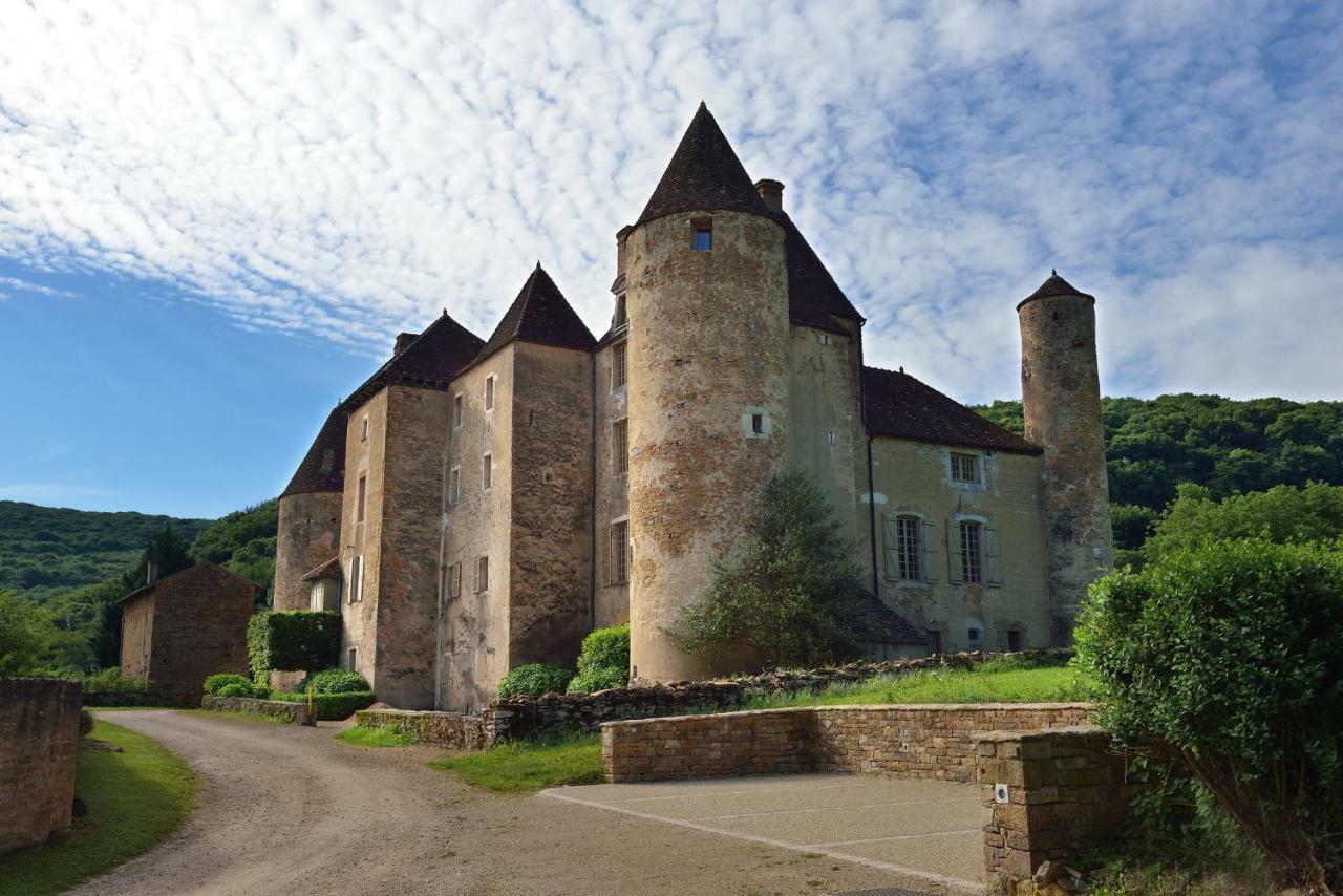 Chateau De Balleure Etrigny Dış mekan fotoğraf
