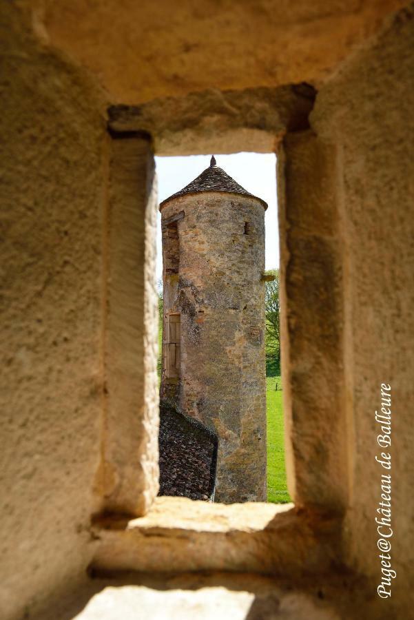 Chateau De Balleure Etrigny Dış mekan fotoğraf