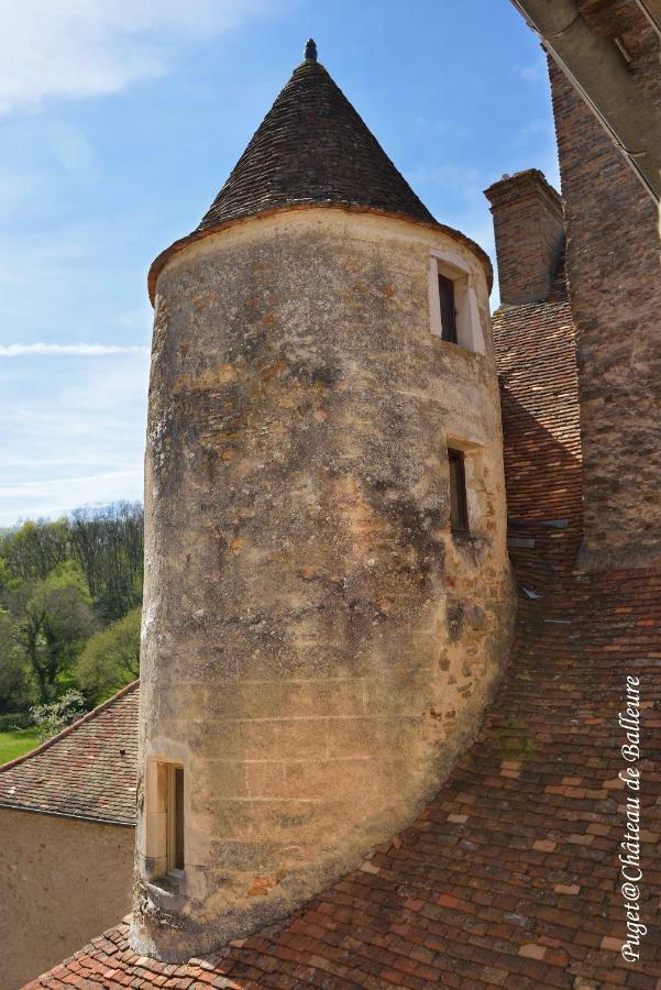 Chateau De Balleure Etrigny Dış mekan fotoğraf