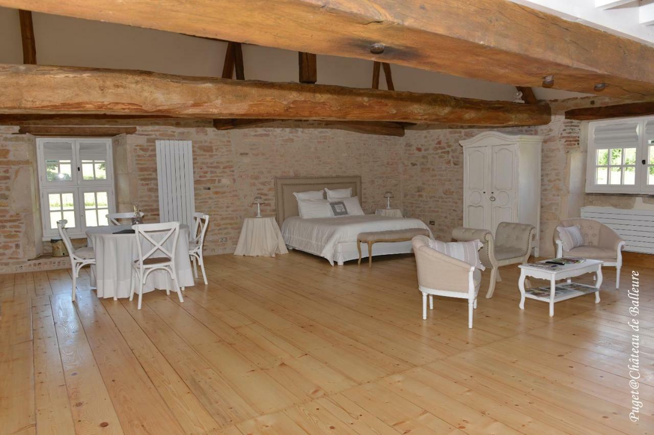 Chateau De Balleure Etrigny Dış mekan fotoğraf